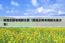 霸道总裁电视剧合集（霸道总裁电视剧合集沙发）