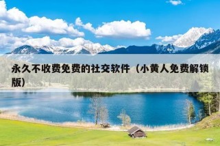 永久不收费免费的社交软件（小黄人免费解锁版）