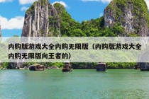 内购版游戏大全内购无限版（内购版游戏大全内购无限版向王者的）