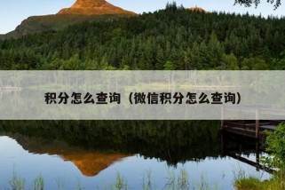 积分怎么查询（微信积分怎么查询）