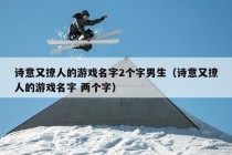 诗意又撩人的游戏名字2个字男生（诗意又撩人的游戏名字 两个字）