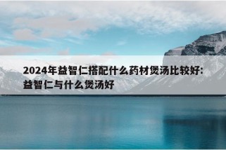 2024年益智仁搭配什么药材煲汤比较好:益智仁与什么煲汤好