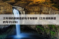 三年级的新鲜感的句子有哪些（三年级新鲜感的句子10句）