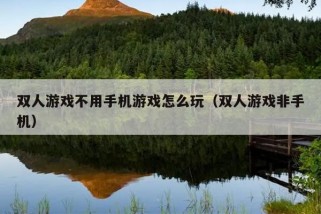 双人游戏不用手机游戏怎么玩（双人游戏非手机）