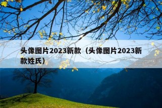 头像图片2023新款（头像图片2023新款姓氏）