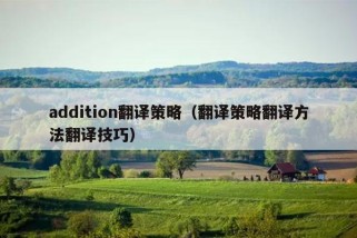 addition翻译策略（翻译策略翻译方法翻译技巧）