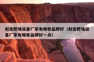 射击靶场设备厂家有哪些品牌好（射击靶场设备厂家有哪些品牌好一点）