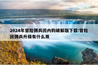 2024年冒险佣兵团内购破解版下载:冒险团佣兵升级有什么用