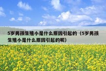 5岁男孩生殖小是什么原因引起的（5岁男孩生殖小是什么原因引起的呢）