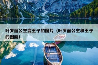 叶罗丽公主变王子的图片（叶罗丽公主和王子的图画）