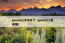 pes2011中文补丁（pes2011安卓版）