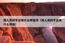 双人旁的字还有什么呢组词（双人旁的字还有什么词语）