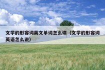 文学的形容词英文单词怎么读（文学的形容词英语怎么说）