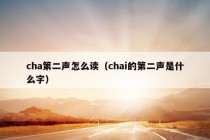 cha第二声怎么读（chai的第二声是什么字）