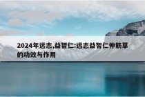 2024年远志,益智仁:远志益智仁伸筋草的功效与作用