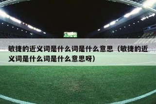 敏捷的近义词是什么词是什么意思（敏捷的近义词是什么词是什么意思呀）