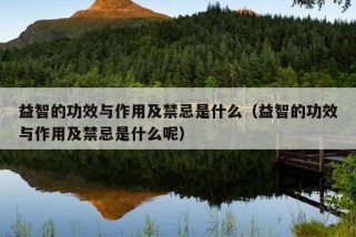 益智的功效与作用及禁忌是什么（益智的功效与作用及禁忌是什么呢）