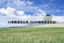 11用英语怎么说（1100用英语怎么说）