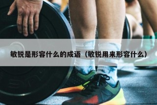 敏锐是形容什么的成语（敏锐用来形容什么）