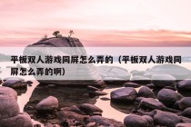 平板双人游戏同屏怎么弄的（平板双人游戏同屏怎么弄的啊）