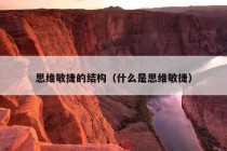 思维敏捷的结构（什么是思维敏捷）