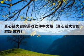 真心话大冒险游戏软件中文版（真心话大冒险游戏 软件）