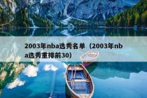 2003年nba选秀名单（2003年nba选秀重排前30）