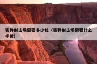 实弹射击场需要多少钱（实弹射击场需要什么手续）