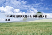 2024年敏捷的英文是什么:敏捷的英文怎么说