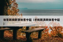 体育新闻新浪体育中超（手机新浪网体育中超）