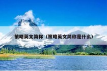 策略英文简称（策略英文简称是什么）