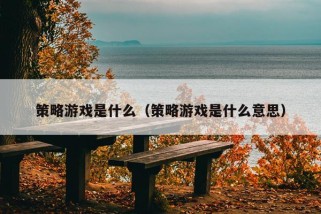 策略游戏是什么（策略游戏是什么意思）