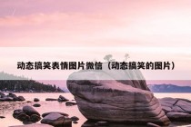 动态搞笑表情图片微信（动态搞笑的图片）