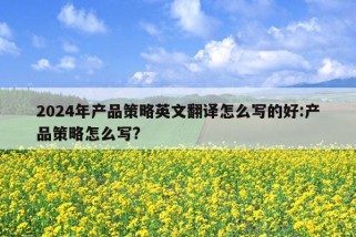 2024年产品策略英文翻译怎么写的好:产品策略怎么写?