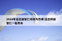 2024年远志益智仁功效与作用:远志和益智仁一起煎水