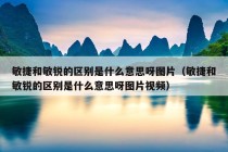 敏捷和敏锐的区别是什么意思呀图片（敏捷和敏锐的区别是什么意思呀图片视频）