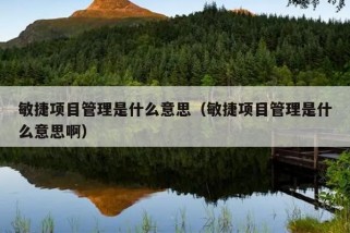 敏捷项目管理是什么意思（敏捷项目管理是什么意思啊）