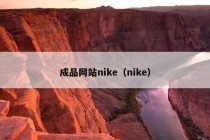 成品网站nike（nike）