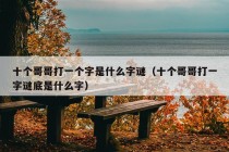 十个哥哥打一个字是什么字谜（十个哥哥打一字谜底是什么字）