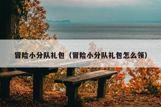 冒险小分队礼包（冒险小分队礼包怎么领）