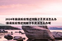 2024年脑袋反应慢迟钝脑子不灵活怎么办:脑袋反应慢迟钝脑子不灵活怎么办呢