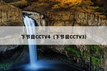 下节目CCTV4（下节目CCTV3）