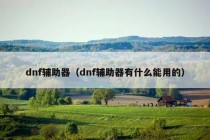 dnf辅助器（dnf辅助器有什么能用的）