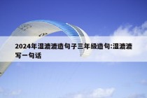 2024年湿漉漉造句子三年级造句:湿漉漉写一句话