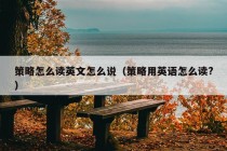 策略怎么读英文怎么说（策略用英语怎么读?）