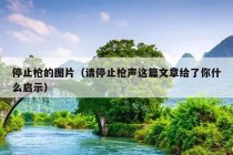 停止枪的图片（请停止枪声这篇文章给了你什么启示）