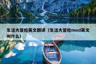 生活大冒险英文翻译（生活大冒险mod英文叫什么）