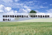 敏捷开发基本原则是什么（敏捷开发基本原则是什么）