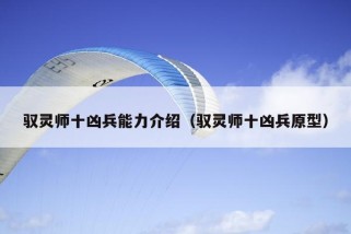 驭灵师十凶兵能力介绍（驭灵师十凶兵原型）