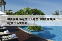 射击游戏ping是什么意思（射击游戏ping是什么意思啊）